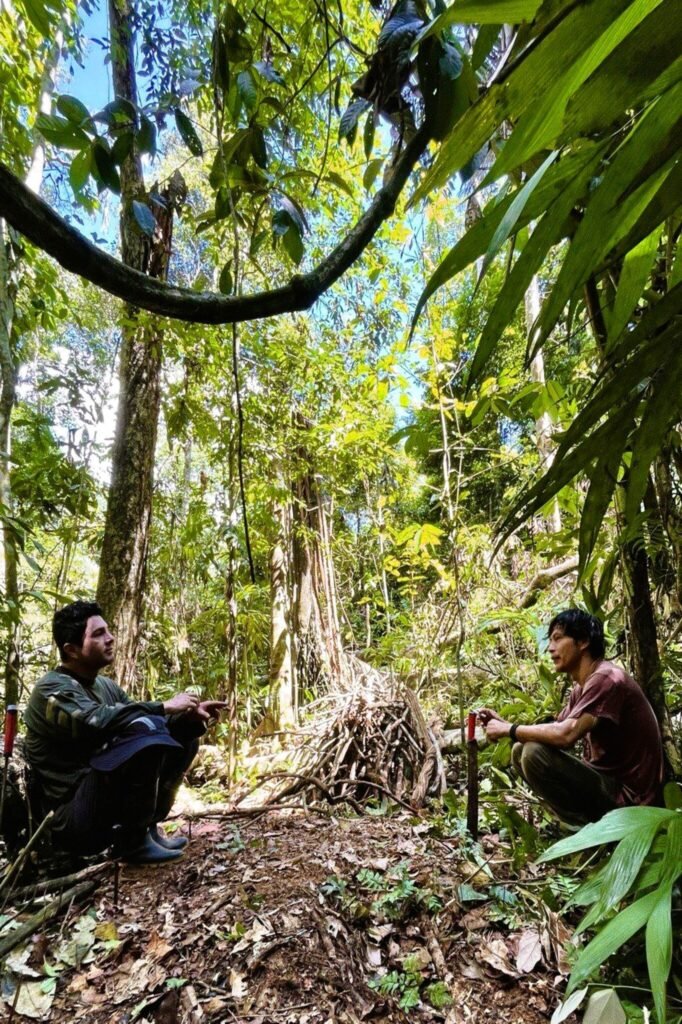 Ecoturismo en la selva del Amazonas en Tambopata