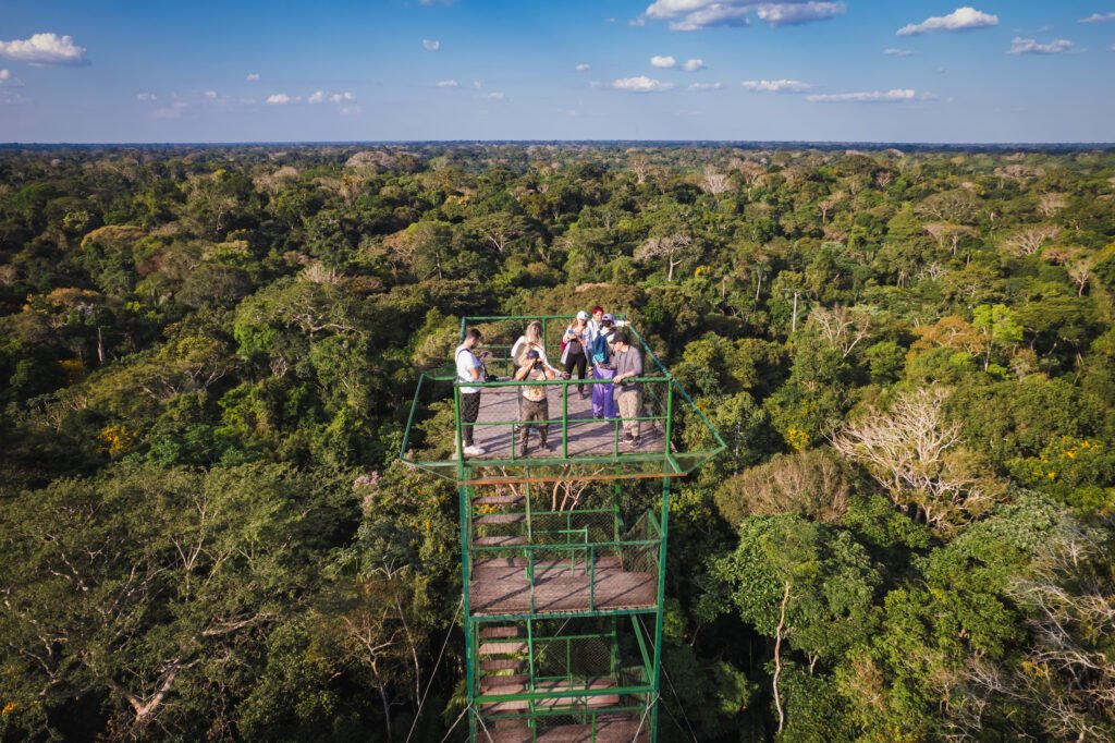 Observe the Amazon from the Observation Tower in the Tambopata Reserve