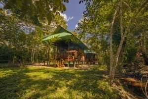 Con una acogedora cama matrimonial y un amplio baño privado, esta cabaña es el refugio ideal para quienes buscan conectarse con la naturaleza y disfrutar de la serenidad de la selva amazónica