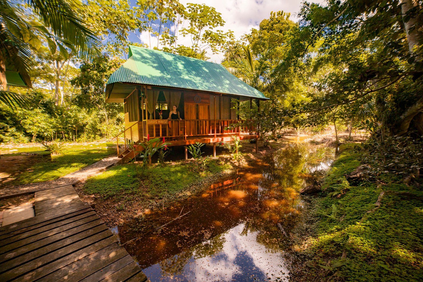 Observa la vida silvestre desde la comodidad de tu cabaña o únete a nuestras excursiones guiadas para explorar la increíble biodiversidad de Tambopata