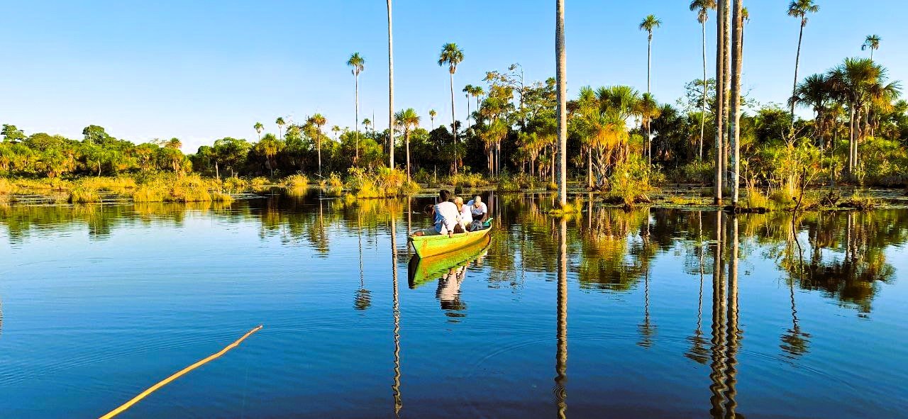 El Lago Yacumama, caracterizado por su abundante vegetación acuática y palmeras que son utilizados como nidos y refugio de diferentes variedades de Psitácidos desde los más pequeños hasta los más grandes, que nos ofrecen un maravillo espectáculo natural de canto y vuelo en todo el lugar