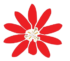 passifloralodgetambopata.com