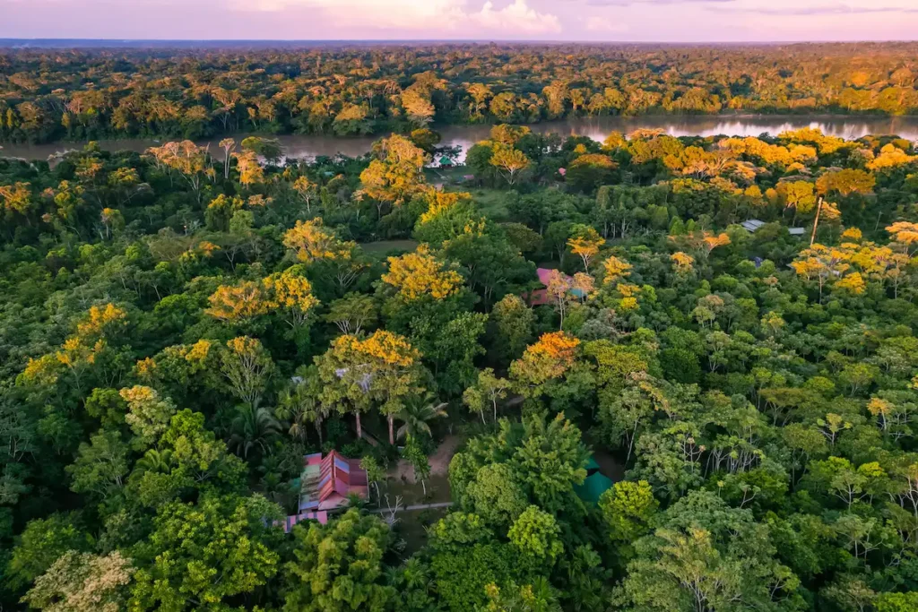 Amazonía Puerto Maldonado — Reserva Nacional Tambopata selva virgen