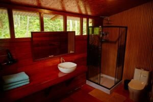 Paquete all inclusive - Ecolodge Tambopata